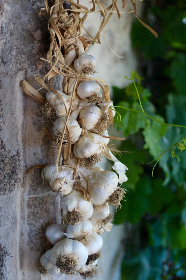 Shenmen Bed & Breakfast Beaune d'Allier ภายนอก รูปภาพ